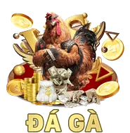 Liên kết dự phòng